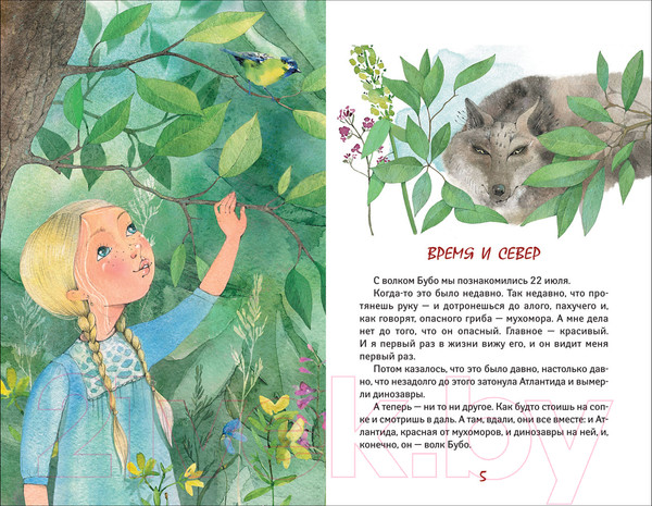 Изображение товара Книга Росмэн Совиный волк (Строкина А.)