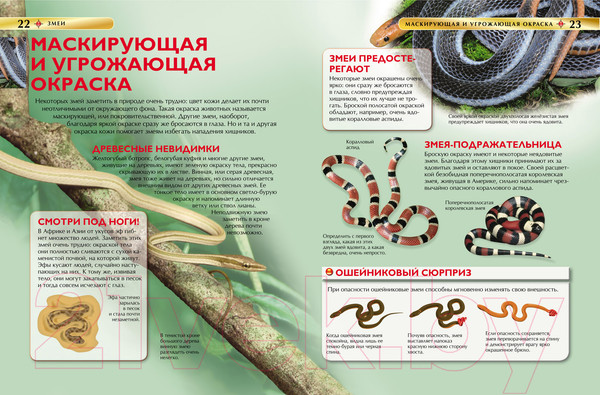 Изображение товара Энциклопедия Росмэн Змеи (Шейх-Миллер Дж.)