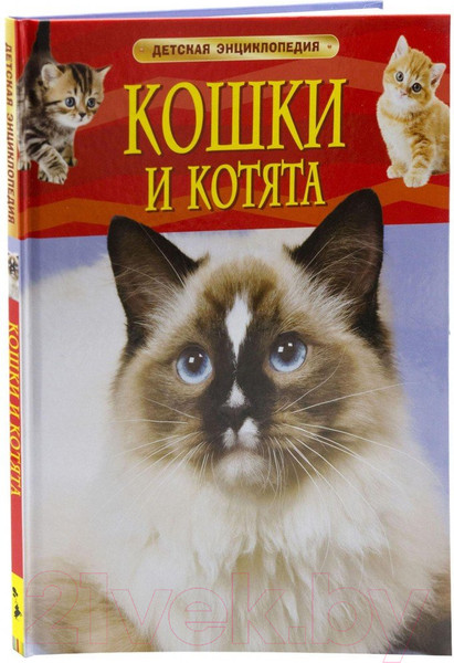 Изображение товара Энциклопедия Росмэн Кошки и котята (Травина И.В.)