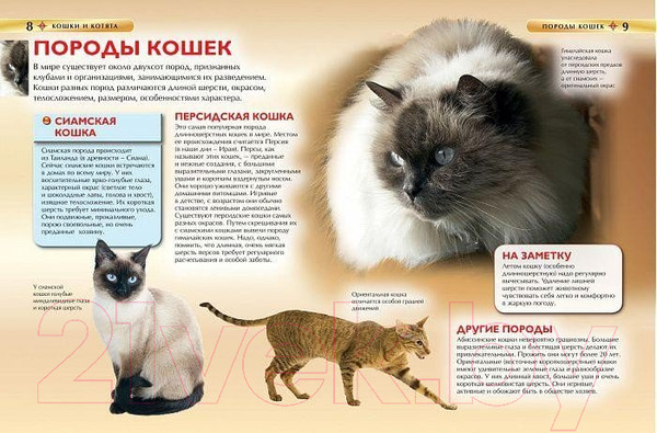 Изображение товара Энциклопедия Росмэн Кошки и котята (Травина И.В.)