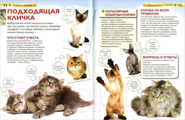 Изображение товара Энциклопедия Росмэн Кошки и котята (Травина И.В.)