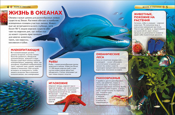Изображение товара Энциклопедия Росмэн Моря и океаны (Хайнс М.)