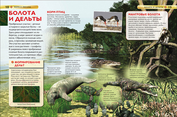 Изображение товара Энциклопедия Росмэн Моря и океаны (Хайнс М.)