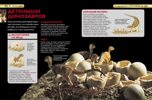 Изображение товара Энциклопедия Росмэн Динозавры (Ферт Р.)
