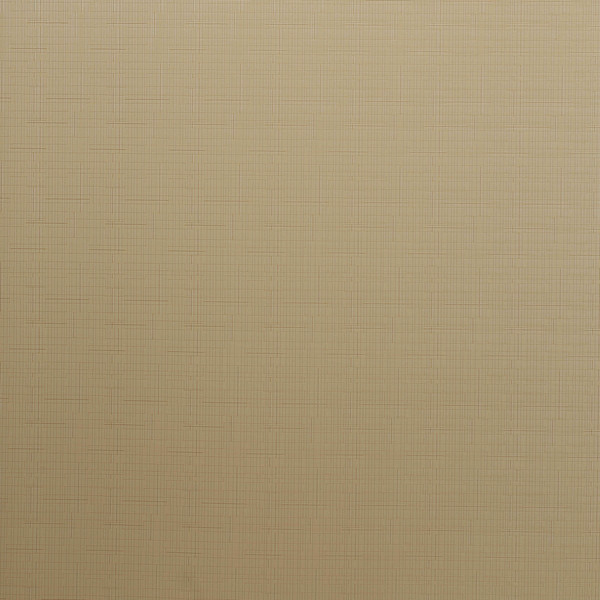 Изображение товара Рулонная штора Lm Decor Лайт LM 30-07C 90x160 (темно-бежевый)