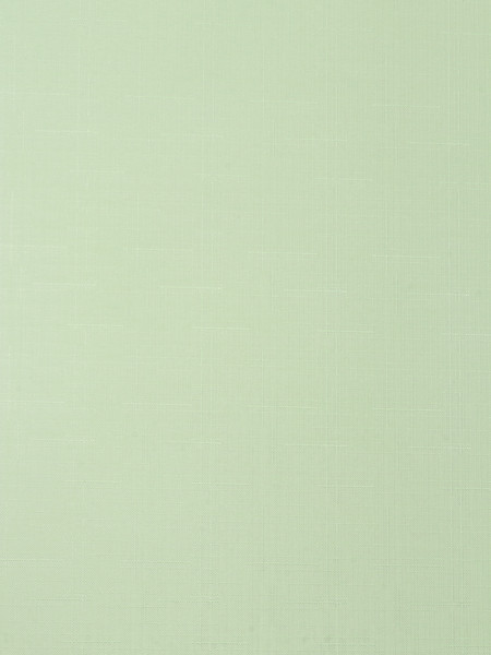 Изображение товара Рулонная штора Lm Decor Лайт LM 30-08C 38x160 (салатовый)