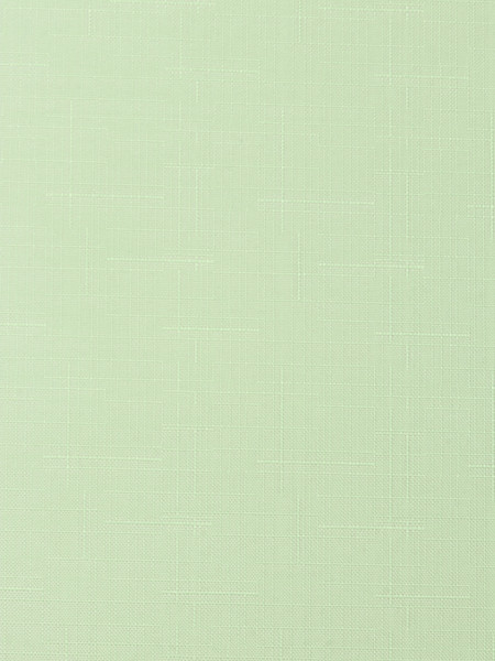 Изображение товара Рулонная штора Lm Decor Лайт LM 30-08C 180x185 (салатовый)