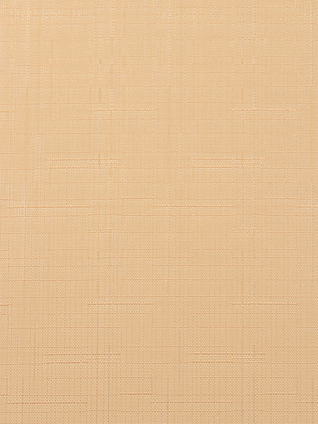 Изображение товара Рулонная штора Lm Decor Лайт LM 30-10C 48x160 (персик)