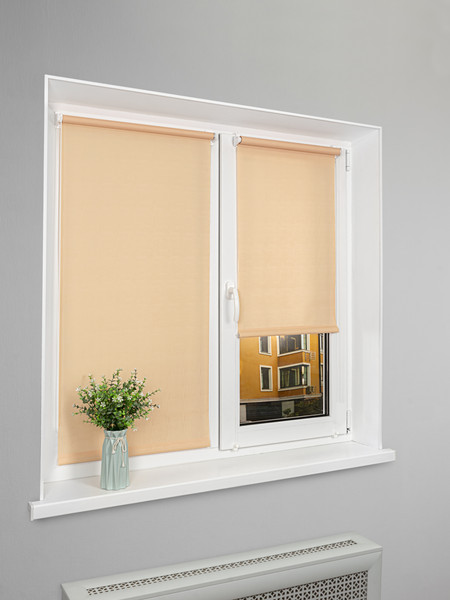 Изображение товара Рулонная штора Lm Decor Лайт LM 30-10C 48x160 (персик)