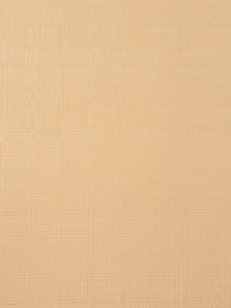 Изображение товара Рулонная штора Lm Decor Лайт LM 30-10C 220x185 (персик)