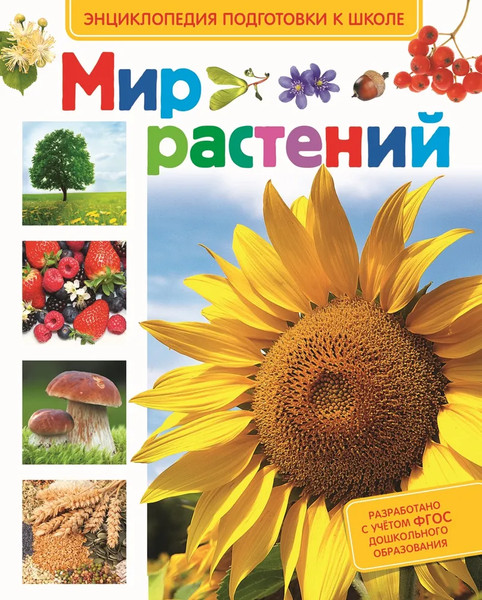 Изображение товара Энциклопедия Росмэн Мир растений, твердая обложка