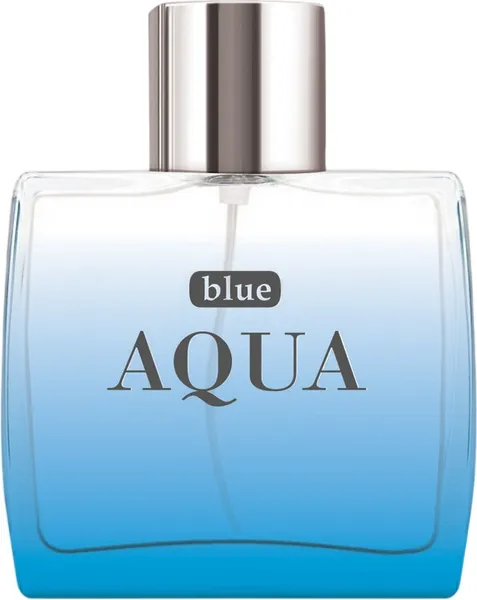 Изображение товара Туалетная вода Dilis Blue Aqua (100мл)