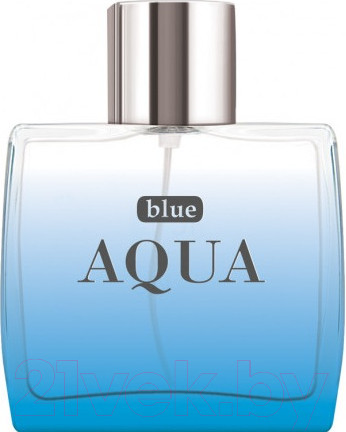 Изображение товара Туалетная вода Dilis Parfum Blue Aqua (100мл)