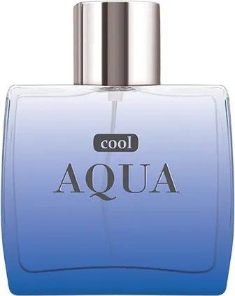 Изображение товара Туалетная вода Dilis Cool Aqua (100мл)