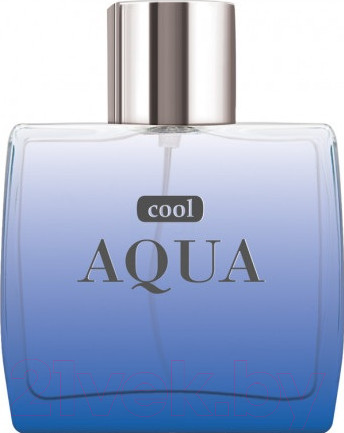 Изображение товара Туалетная вода Dilis Parfum Cool Aqua (100мл)
