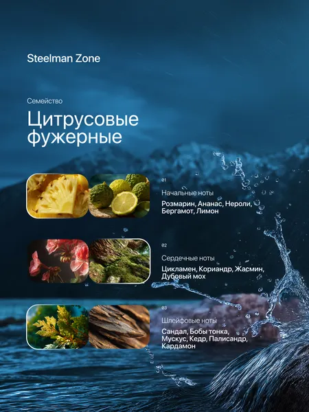Изображение товара Туалетная вода La Ville Steelman Zone (100мл)