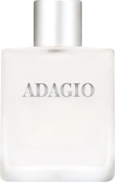 Изображение товара Туалетная вода La Ville Adagio (100мл)