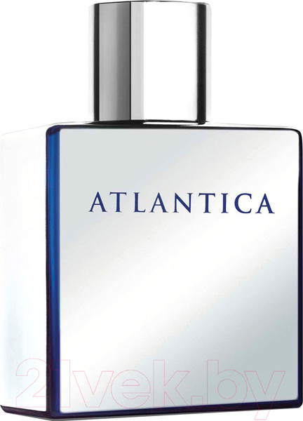 Изображение товара Туалетная вода Dilis Parfum Atlantica Mercury (100мл)