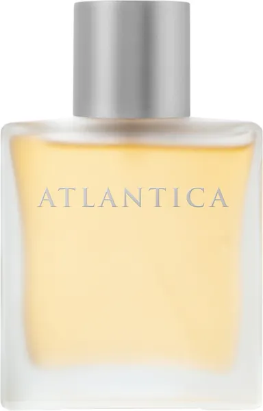 Туалетная вода Dilis Atlantica Taboo (100мл)