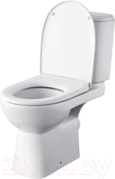 Изображение товара Унитаз напольный Roca Access 734P23800Y