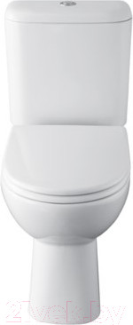 Изображение товара Унитаз напольный Roca Access 734P23800Y