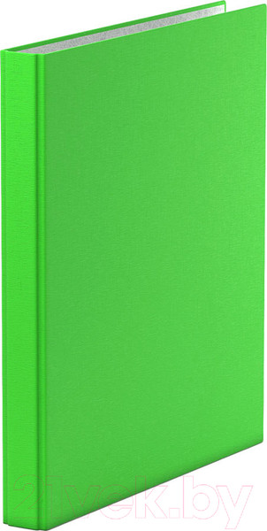 Изображение товара Папка-регистратор Erich Krause Neon / 39057 (зеленый)