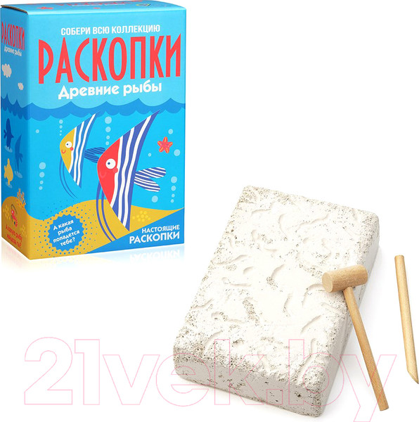 Изображение товара Набор для опытов Раскопки Раскопки. Рыбы / DIG-12
