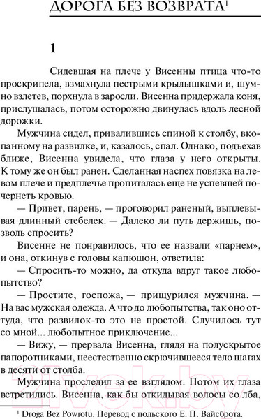 Изображение товара Книга АСТ Ведьмак. Дорога без возврата (Сапковский А.)