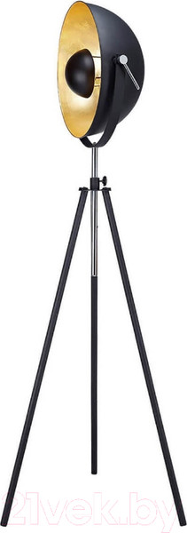 Изображение товара Торшер Lussole Loft GRLSP-9824