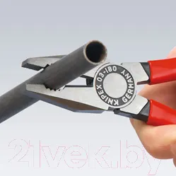 Изображение товара Плоскогубцы Knipex 0301160