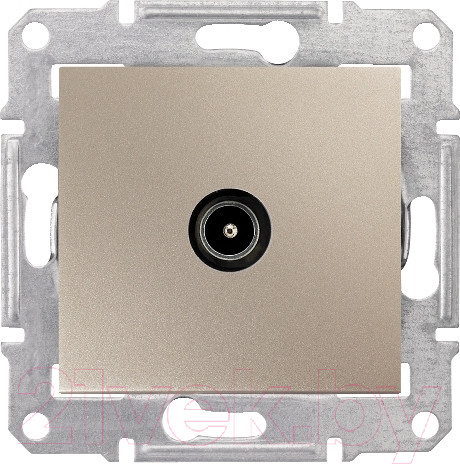 Изображение товара Розетка Schneider Electric Sedna SDN3201668