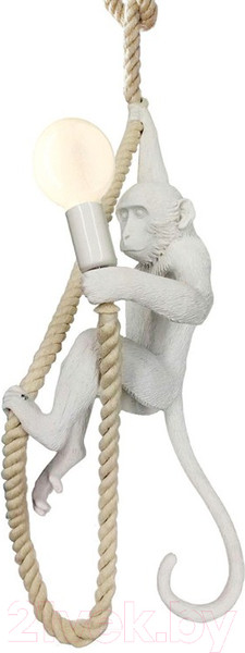 Изображение товара Потолочный светильник Lussole Loft Hicksville GRLSP-9993