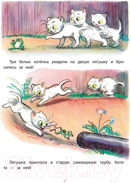 Изображение товара Книга АСТ Сказки (Сутеев В.)