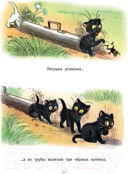 Изображение товара Книга АСТ Сказки (Сутеев В.)