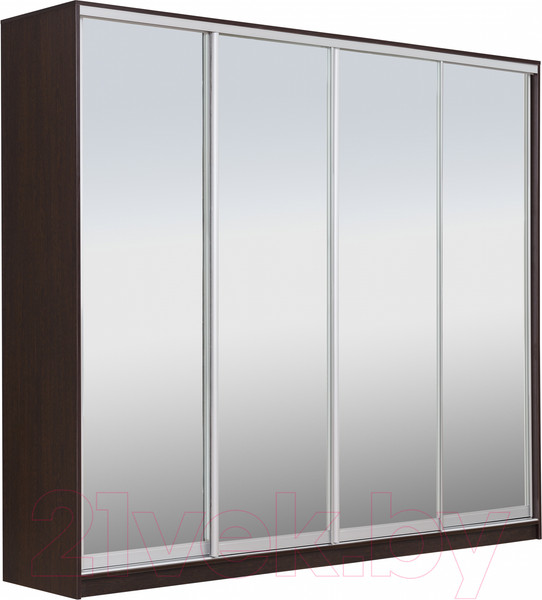 Изображение товара Шкаф-купе Рэйгрупп 272 VVX Elgon РГ-14.04 (венге/венге/хром)