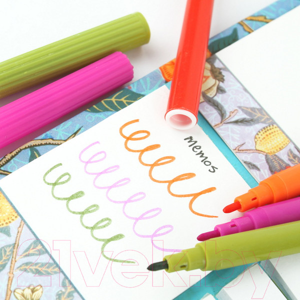 Изображение товара Фломастеры Darvish Для девочек / DV-3601-18A (18шт)