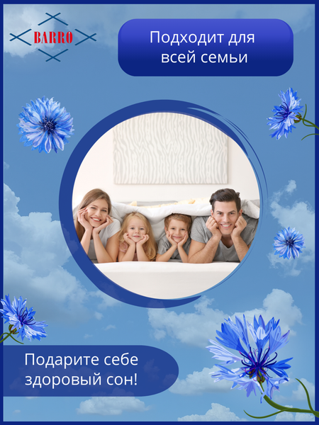 Изображение товара Одеяло Барро 102-103 175x200
