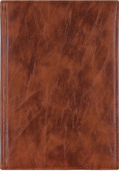 Изображение товара Ежедневник Darvish DV-11601 (192л)