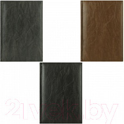 Изображение товара Ежедневник Darvish DV-11601 (192л)