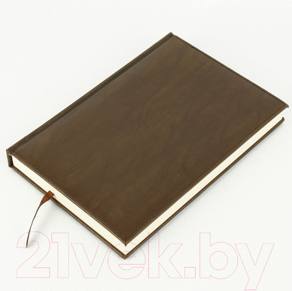 Изображение товара Ежедневник Darvish DV-11601 (192л)