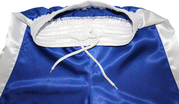 Изображение товара Боксерская форма BoyBo Синяя (XS)