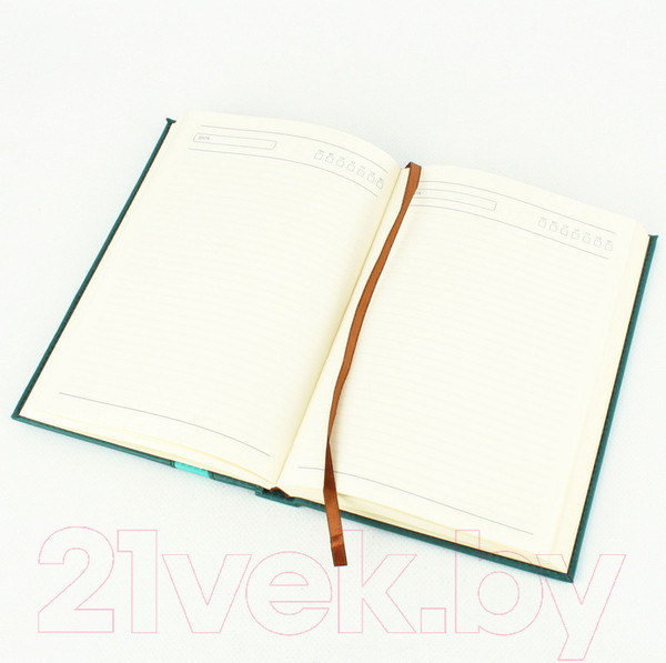 Изображение товара Ежедневник Darvish DV-11595 (192л)