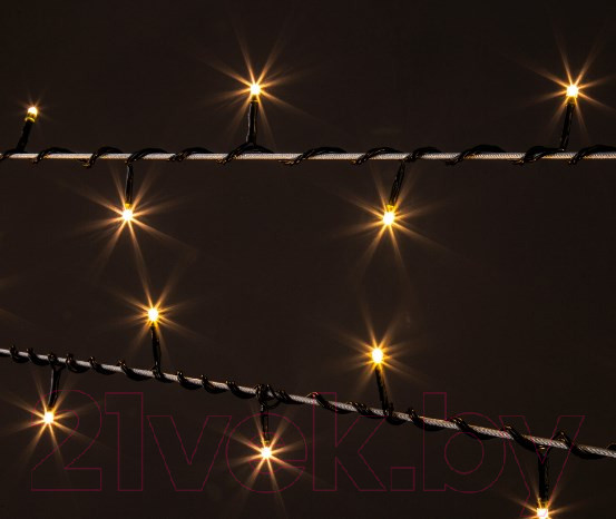 Изображение товара Светодиодная гирлянда Евросвет 400-002 (теплый белый)