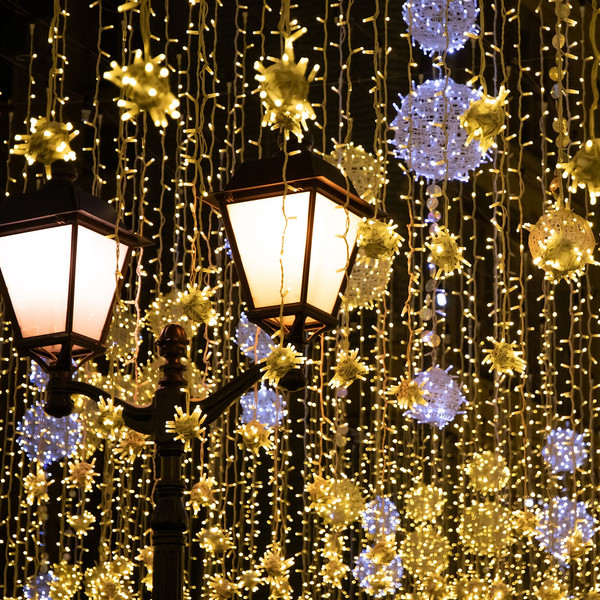 Изображение товара Светодиодная гирлянда Евросвет 400-101 (белый)