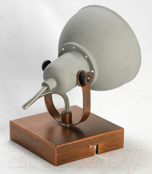 Изображение товара Спот Lussole Loft Durango GRLSP-9828