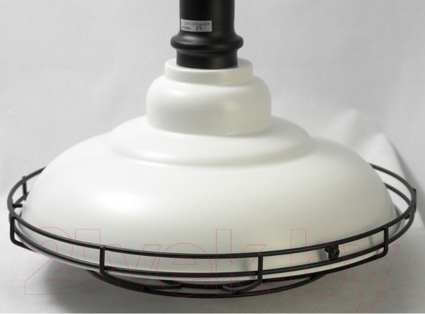 Изображение товара Потолочный светильник Lussole Loft GRLSP-9848