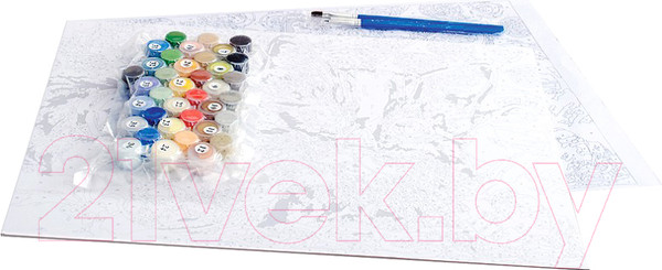 Изображение товара Картина по номерам БЕЛОСНЕЖКА Домик в деревне / 3091-CS