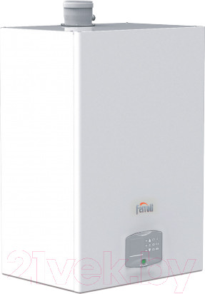 Изображение товара Газовый котел Ferroli Force W 120
