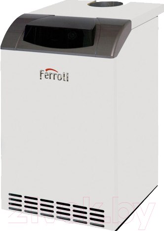 Изображение товара Газовый котел Ferroli Pegasus D 32