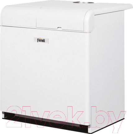 Изображение товара Газовый котел Ferroli Pegasus 97 2S
